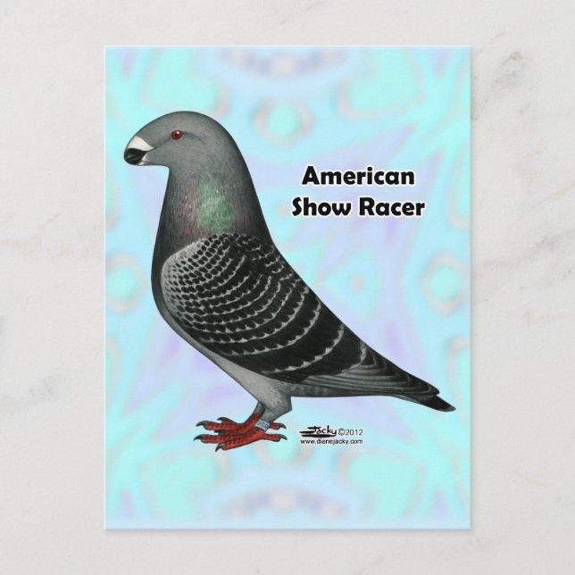 Postal Mostrar Racer ASR (Anverso)