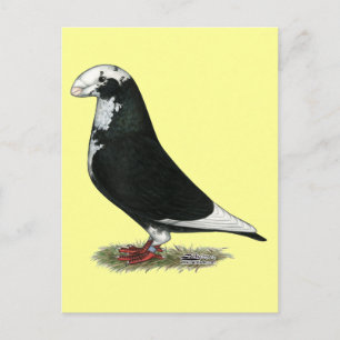 Postal Mostrar tubería de raquiador