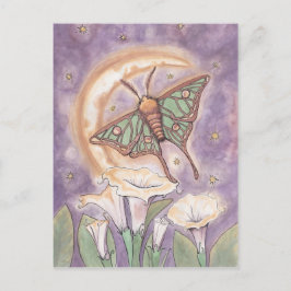 Postal Moth & Moonflowers