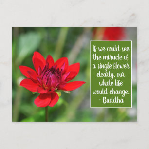 Postal Motivación de la flor solitaria de Dahlia roja Wis
