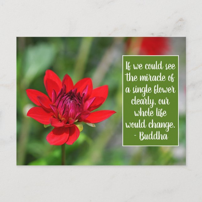 Postal Motivación de la flor solitaria de Dahlia roja Wis (Anverso)