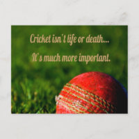 Motivación divertida del cricket Red Ball