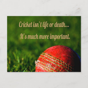 Postal Motivación divertida del cricket Red Ball