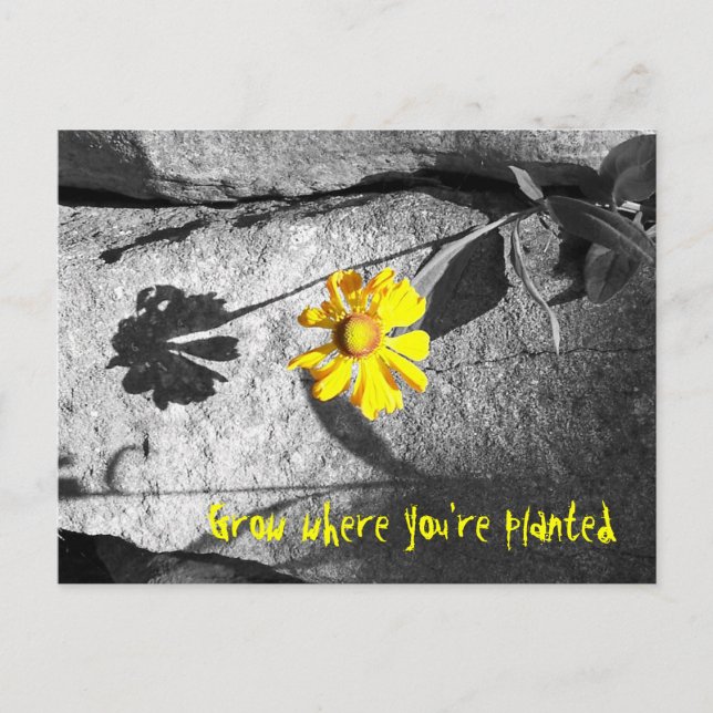 Postal motivacional "Crecer donde estás plantado" (Anverso)