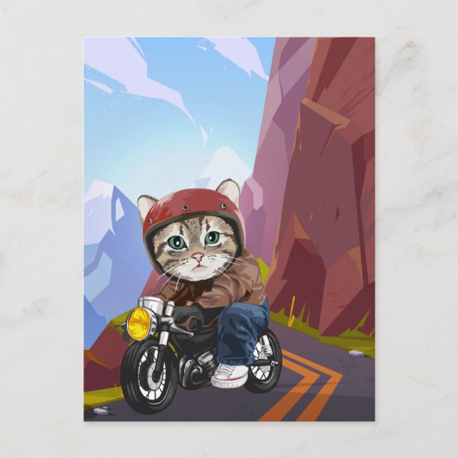 Postal Motocicleta De Gato En Mountain Road (Anverso)