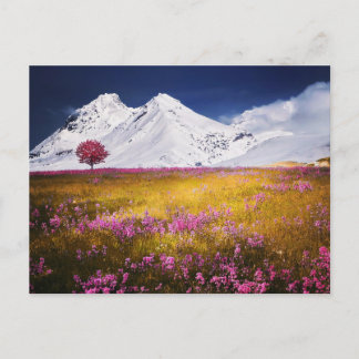 POSTAL MOUNTAINS FIELD FLOWERS LANDSCAPE POSTCROSSING