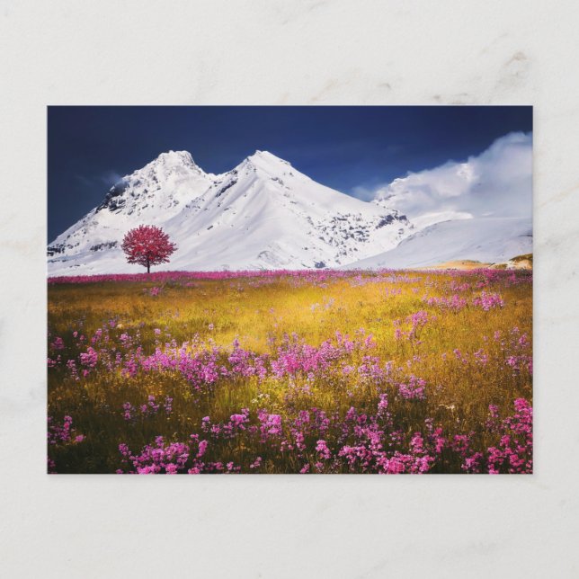 POSTAL MOUNTAINS FIELD FLOWERS LANDSCAPE POSTCROSSING (Anverso)