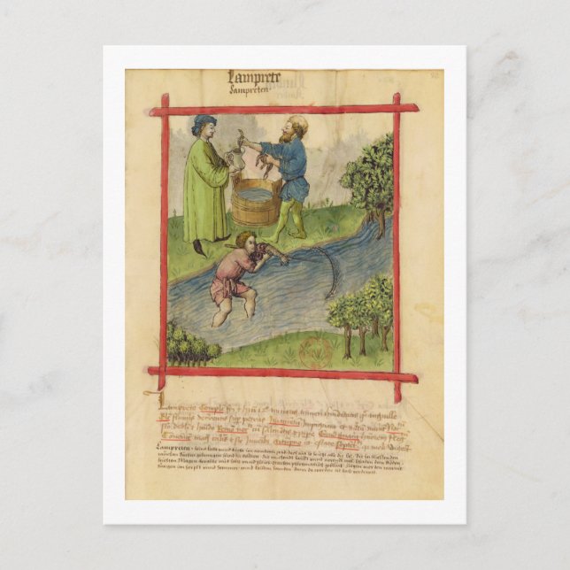 Postal Ms Lat 9333 f.82 Pesca de anguilas, de 'Tacuinum (Anverso)