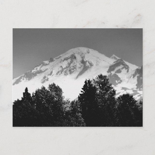 Postal Mt. Baker A Través De Árboles (Anverso)