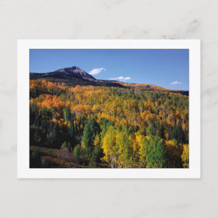 Postal "Mt. Baldy - Aspen Tree Flow"