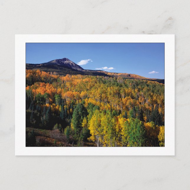 Postal "Mt. Baldy - Aspen Tree Flow" (Anverso)
