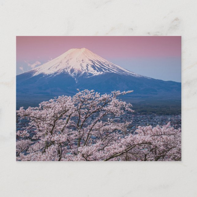 Postal Mt Fuji y flores de cerezo (Anverso)