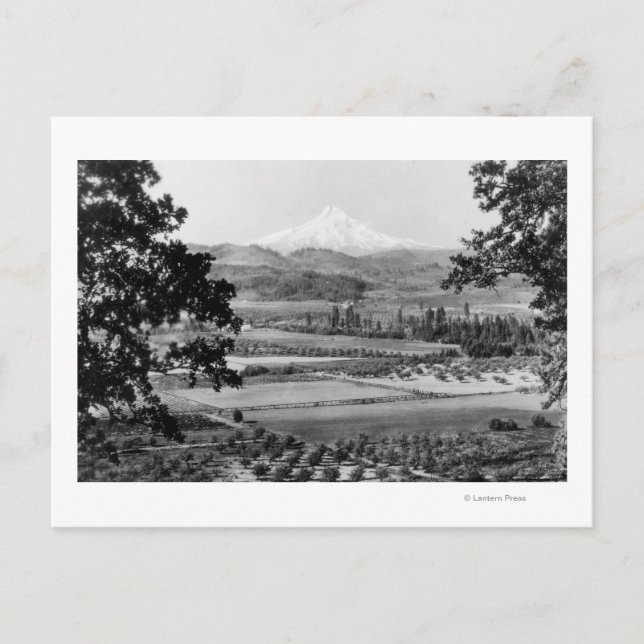Postal Mt. Hood de Hood River Valley Photograph (Anverso)