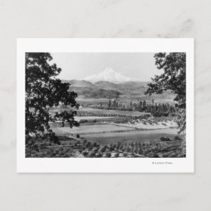 Postal Mt. Hood de Hood River Valley Photograph