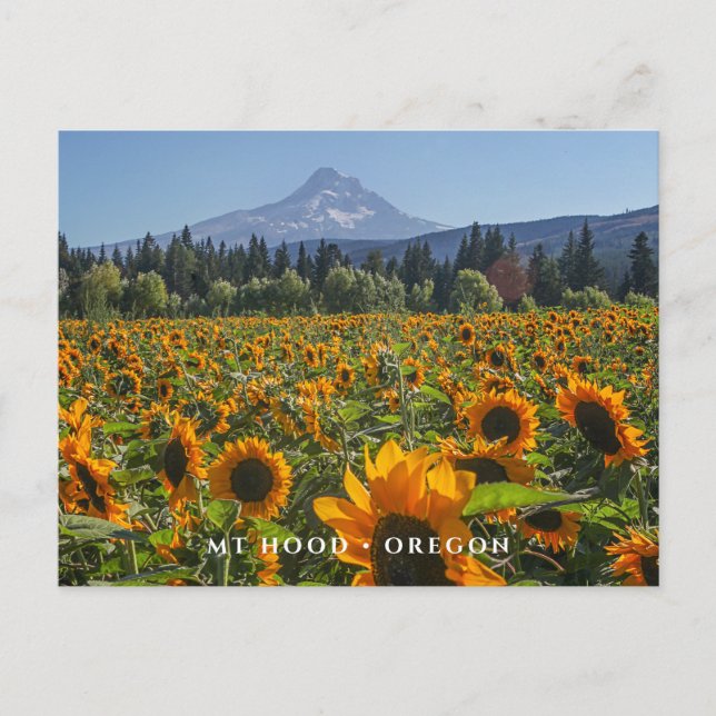 Postal Mt Hood | Oregon (Anverso)