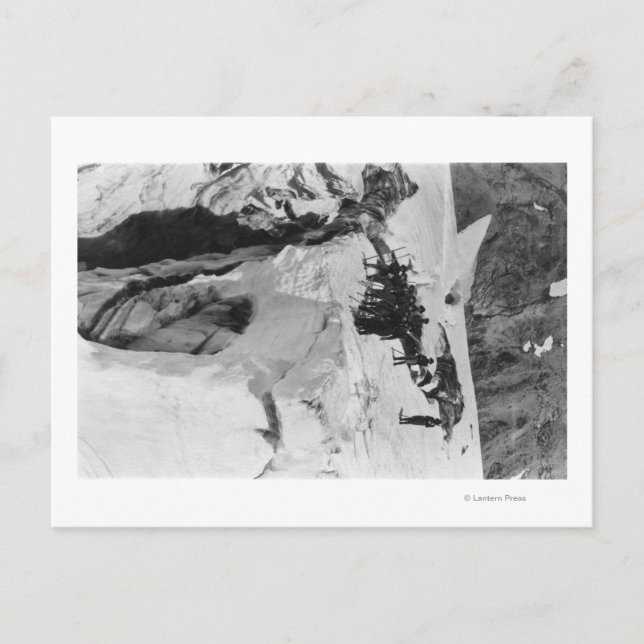 Postal Mt. Rainier, miembros de los glaciares de WA (Anverso)