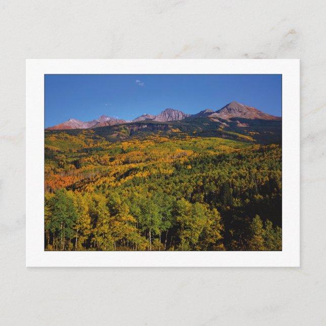 Postal "Mt. Wilson - Aspen Tree Valley" (Anverso)