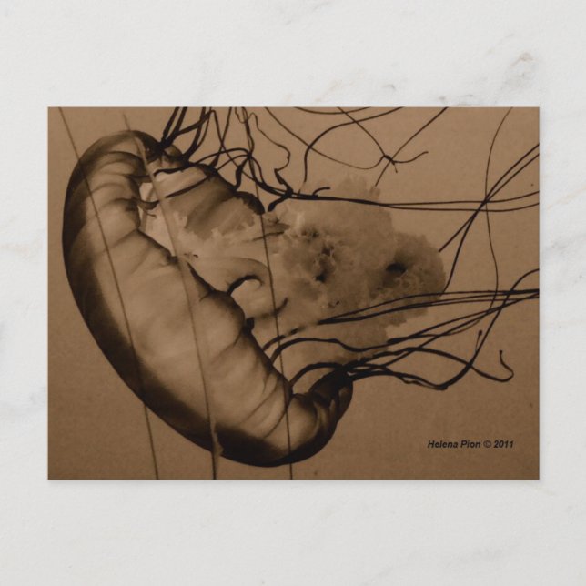 POSTAL MTV 3 (Anverso)