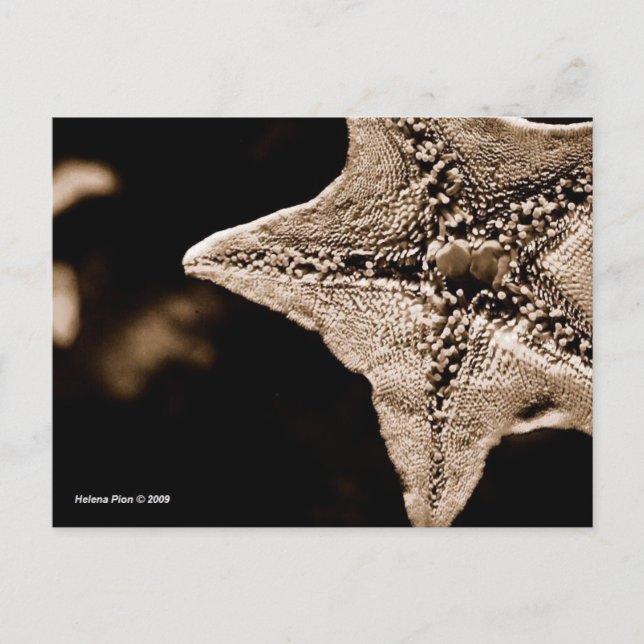 POSTAL MTV 7 (Anverso)