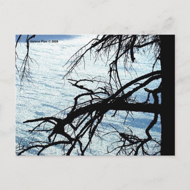 POSTAL MTV 9 (Anverso)