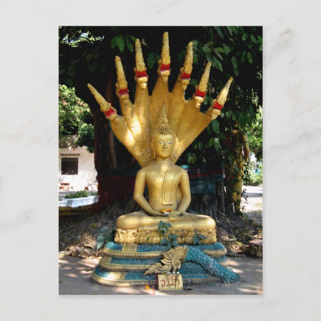 Postal Mucalinda (Anverso)