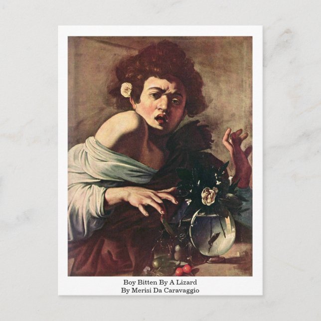 Postal Muchacho Amortiguado Por Un Lizard De Merisi Da Ca (Anverso)