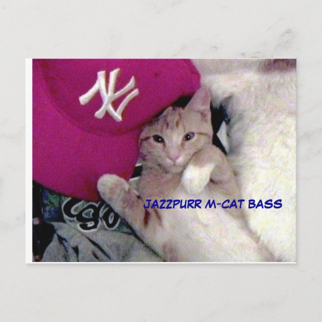Postal Muchacho del poster para el amor Jazzpurr (Anverso)