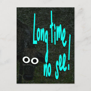 Postal Mucho tiempo sin ver. Vaca. Animal