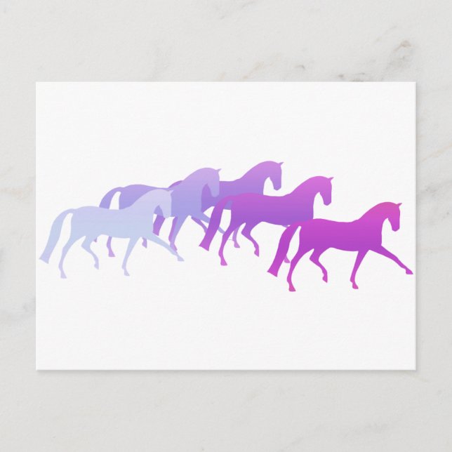 Postal Muchos caballos (púrpura) (Anverso)