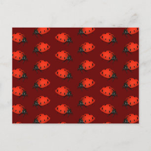 Postal Muchos Ladybugs