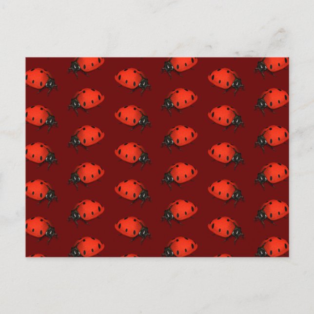 Postal Muchos Ladybugs (Anverso)