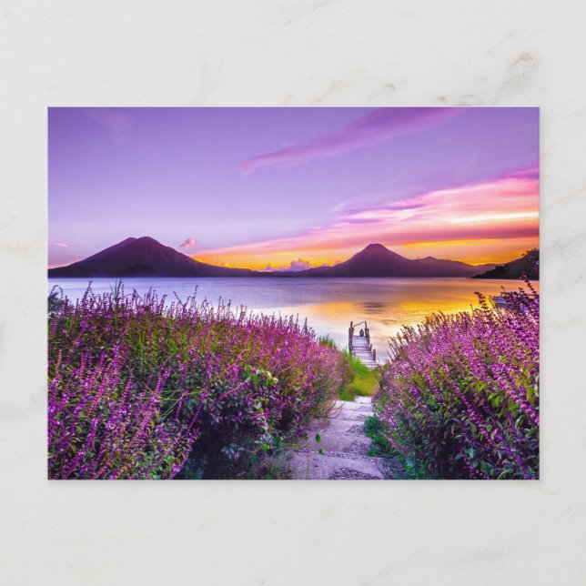 Postal muelle de madera marrón entre el campo de flores d (Anverso)