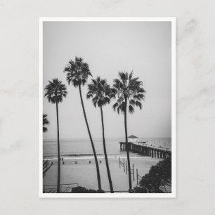 Postal Muelle de Manhattan Beach y palmera en blanco y ne