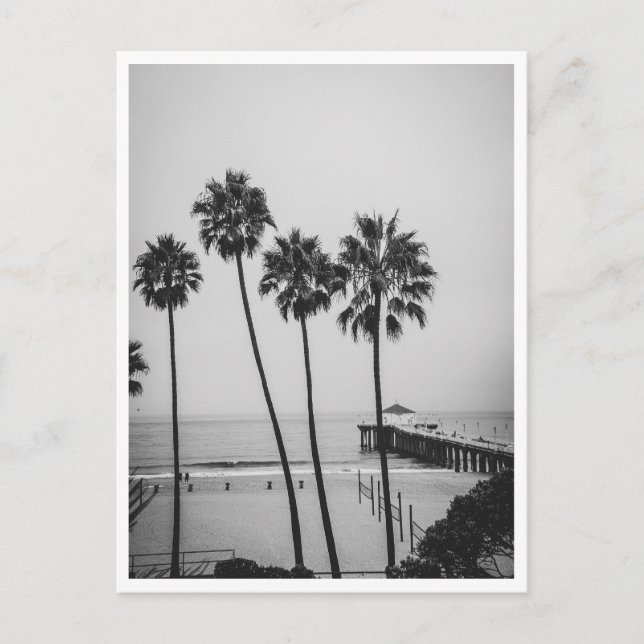 Postal Muelle de Manhattan Beach y palmera en blanco y ne (Anverso)