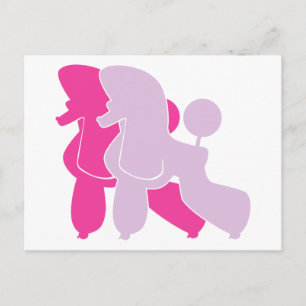 Postal Muera pinken Pudel