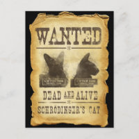 Muertos y vivo queridos. El gato de Schroedinger