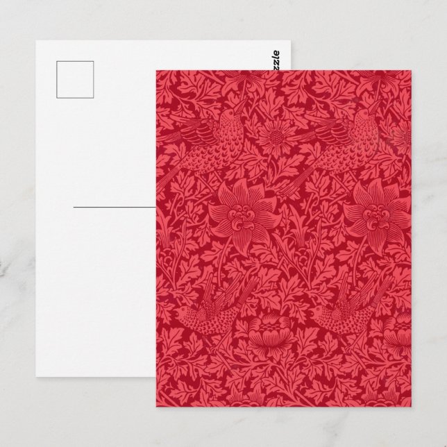 Postal Muestra de Ave, fondo de pantalla de Anemone de Mo (Anverso / Reverso)