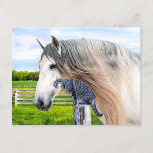 Postal "Muffin y Saraband" 