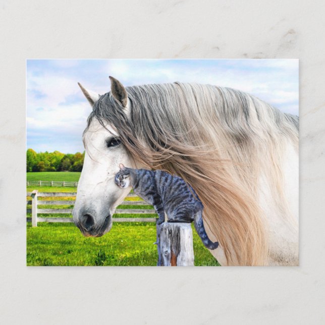 Postal "Muffin y Saraband" (Anverso)