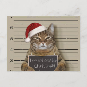 Postal Mugshot Cat Christmas