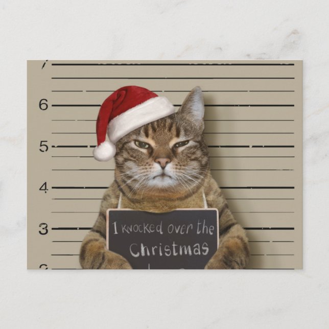 Postal Mugshot Cat Christmas (Anverso)