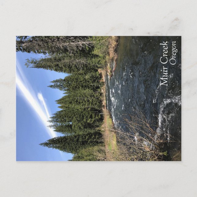 Postal Muir Creek (Anverso)
