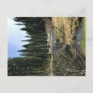 Postal Muir Creek, Oregón