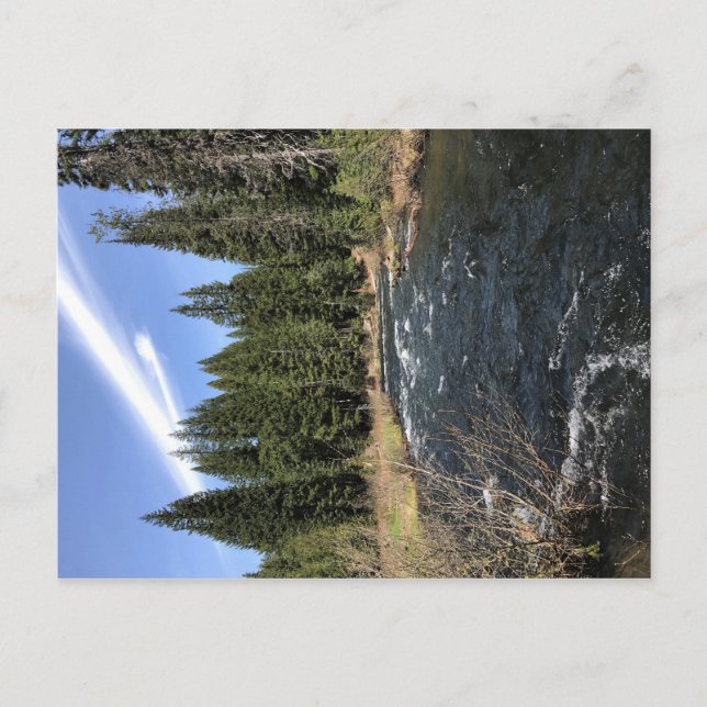 Postal Muir Creek, Oregón (Anverso)