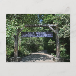 Postal Muir Woods Post Card