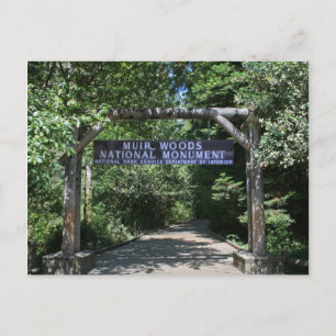 Postal Muir Woods Post Card