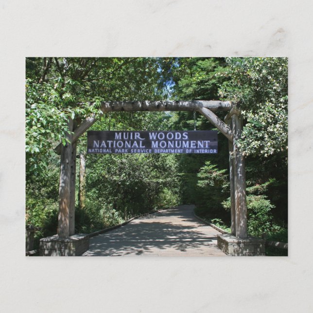 Postal Muir Woods Post Card (Anverso)
