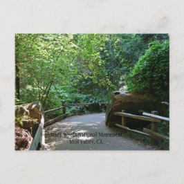 Postal Muir Woods Post Card