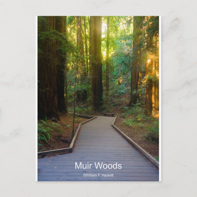 Postal Muir Woods Walkway California Products (Anverso)