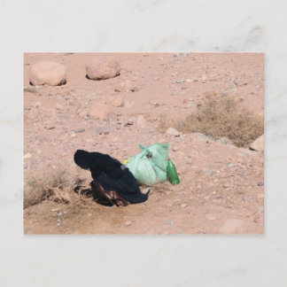 Postal Mujer beduina, Sinaí del Sur, Egipto